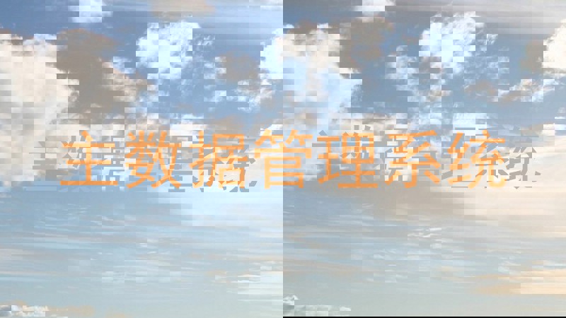 主数据管理系统