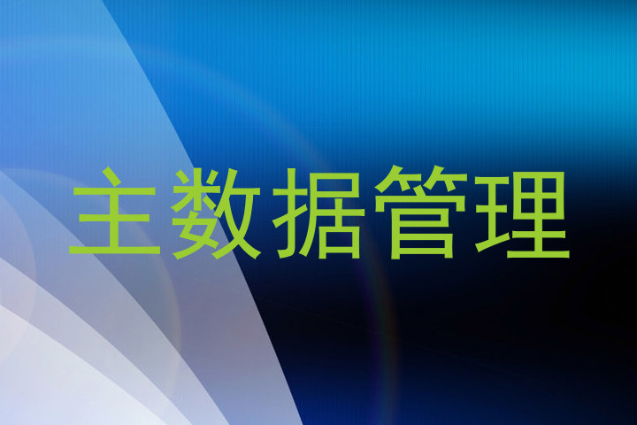 主数据管理