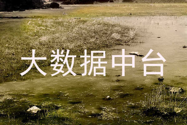 大数据中台