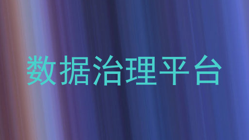 数据治理平台