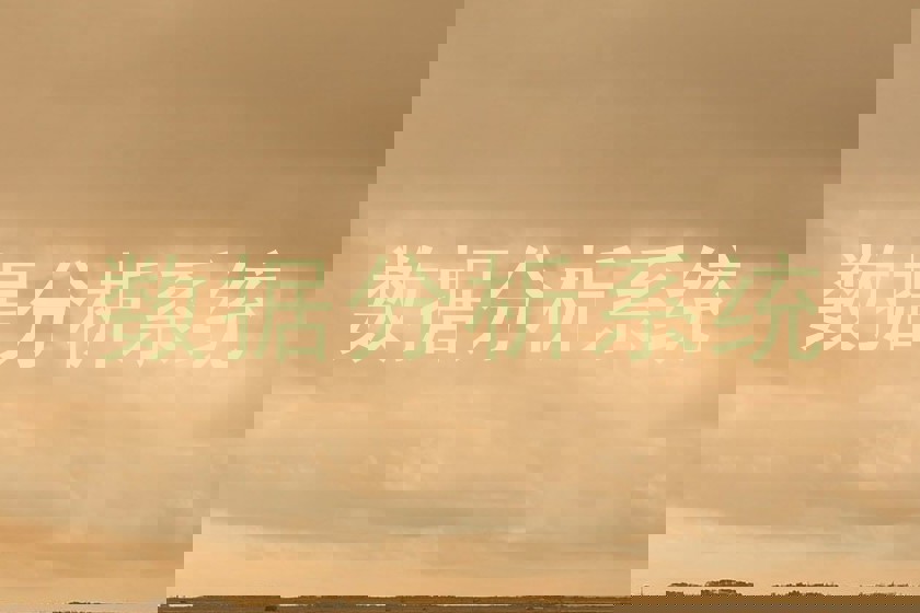 数据分析系统