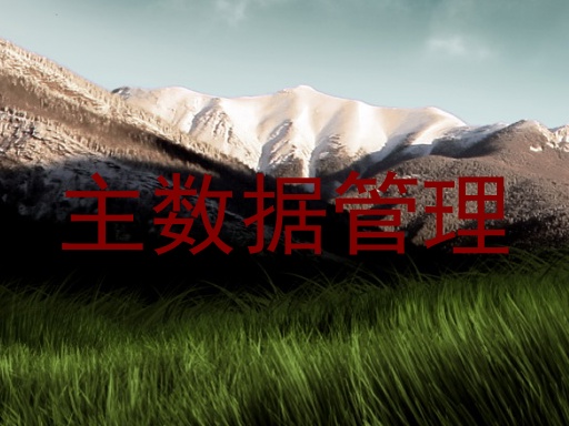 主数据管理