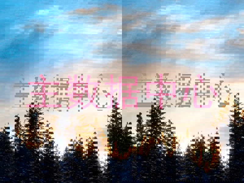 主数据中心