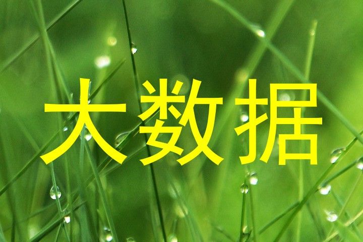 大数据