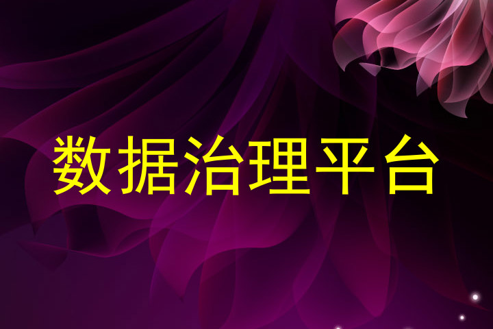 数据治理平台
