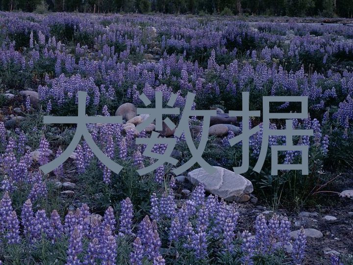 大数据