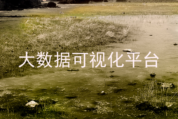 大数据可视化平台