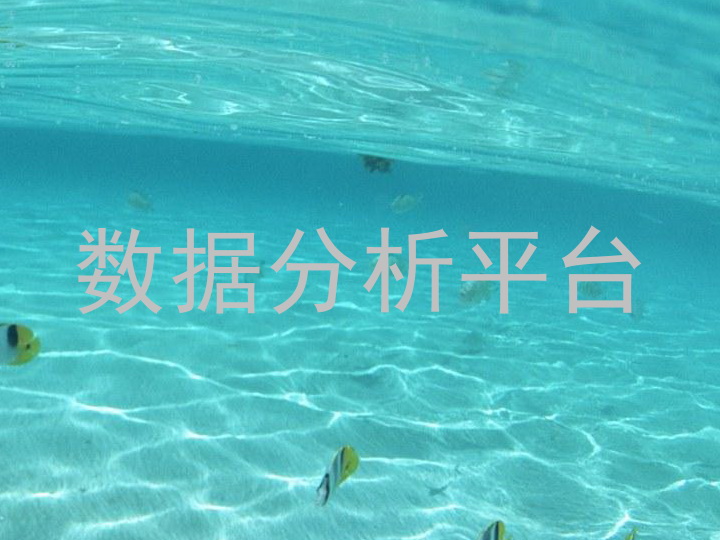 数据分析平台