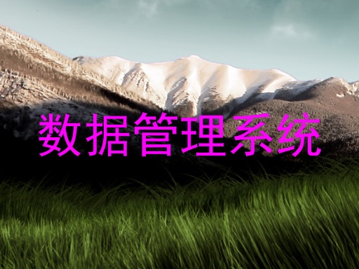 数据管理系统