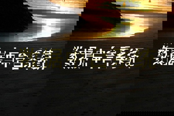 数据中台系统