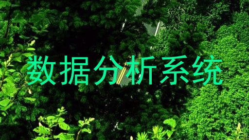 数据分析系统