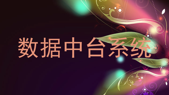 数据中台系统