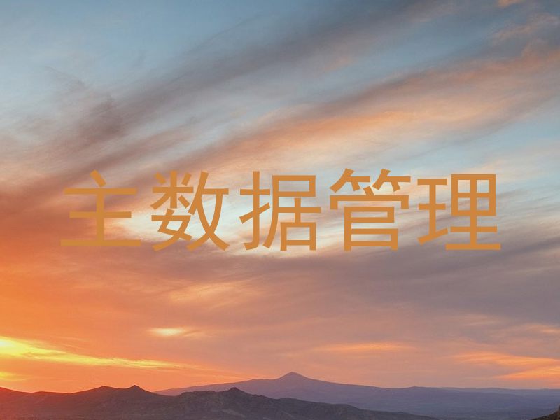 主数据管理