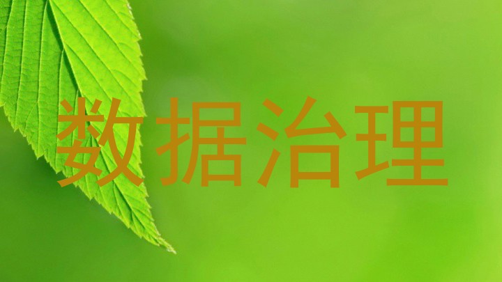 数据治理