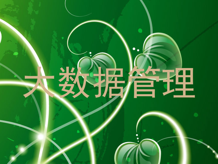 大数据管理
