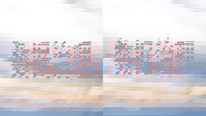 数据治理