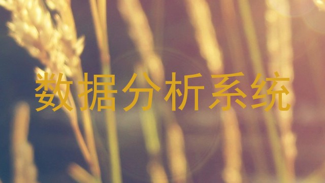 数据分析系统