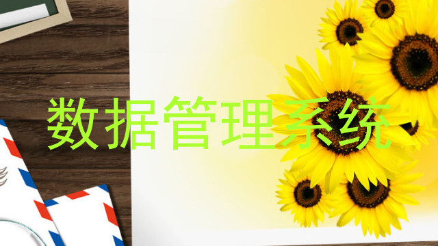 数据管理系统