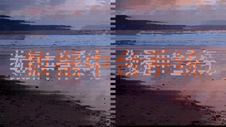 数据中台系统
