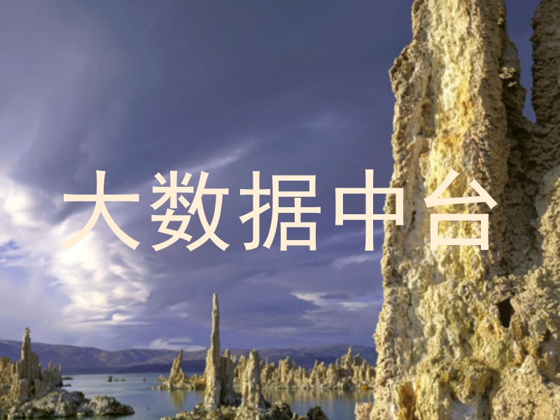 大数据中台