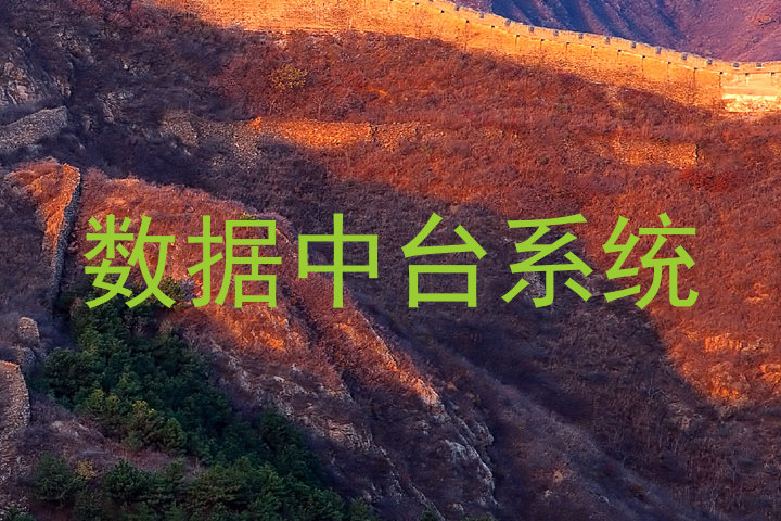 数据中台系统