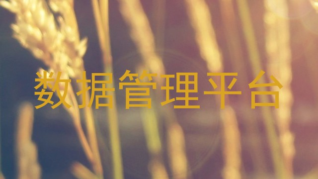 数据管理平台