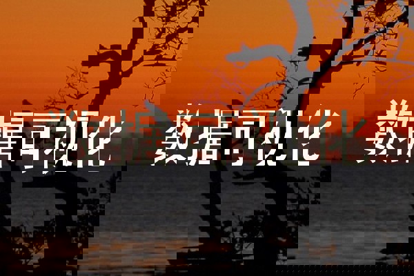 数据可视化