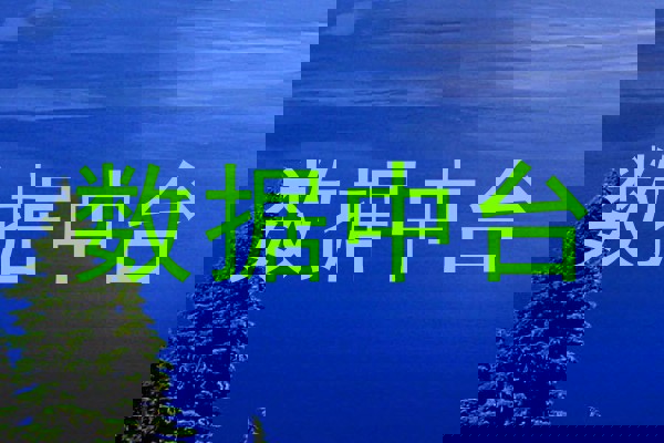 数据中台