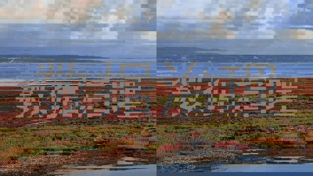 数据治理