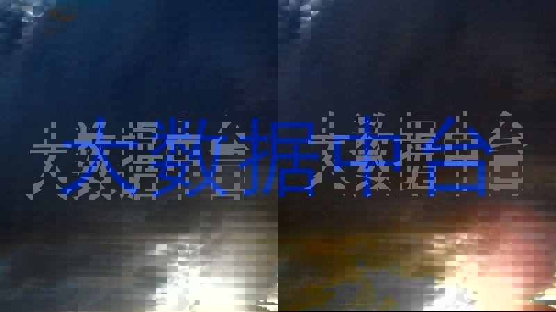 大数据中台