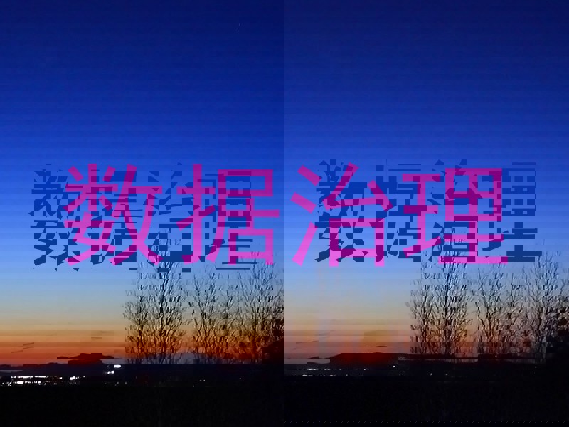 数据治理