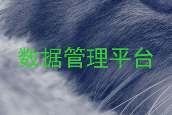 数据管理平台
