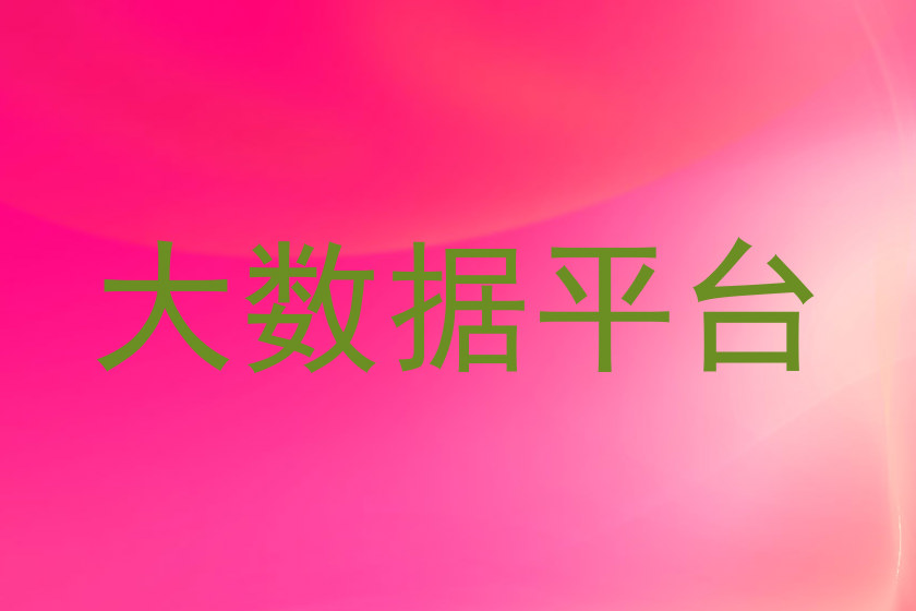 大数据平台