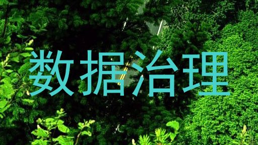 数据治理