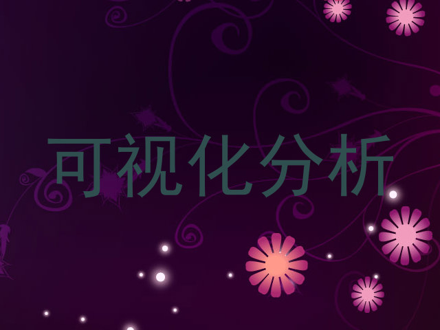 可视化分析