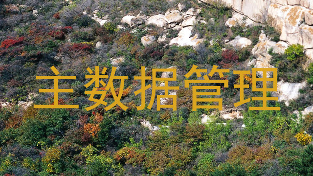 主数据管理