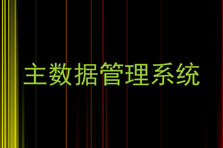 主数据管理系统