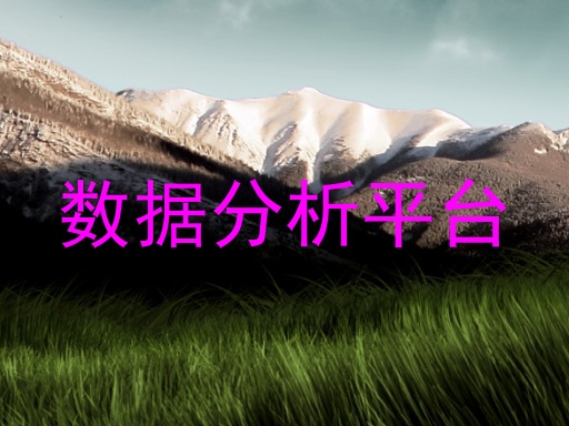 数据分析平台