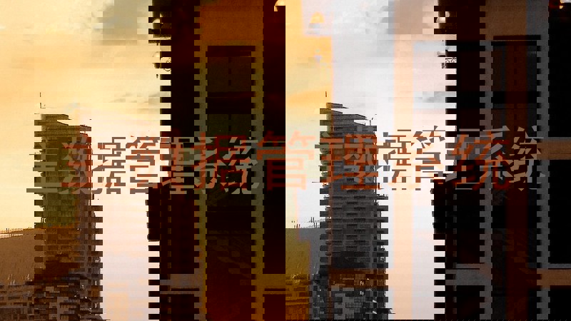 主数据管理系统