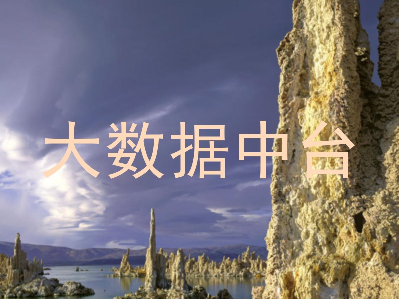 大数据中台