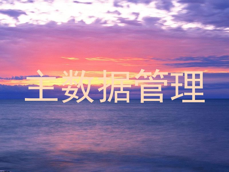 主数据管理