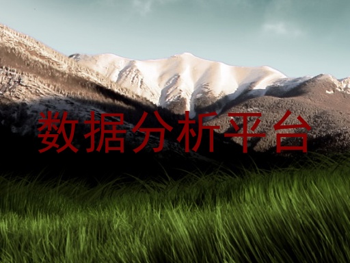 数据分析平台