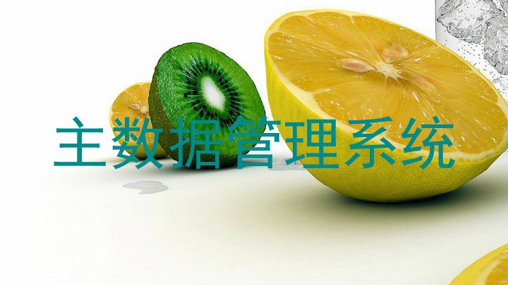 主数据管理系统
