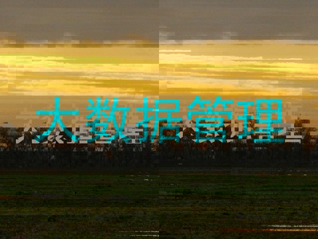 大数据管理