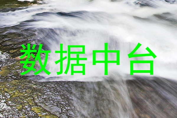 数据中台