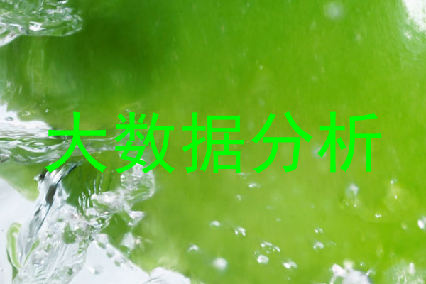 大数据分析