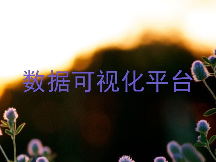 数据可视化平台