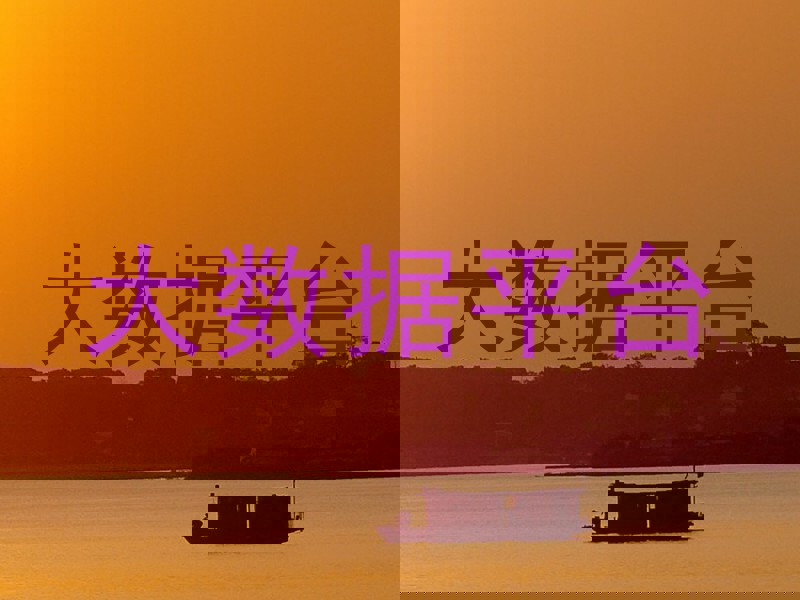 大数据平台
