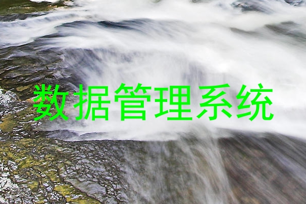 数据管理系统
