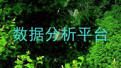 数据分析平台